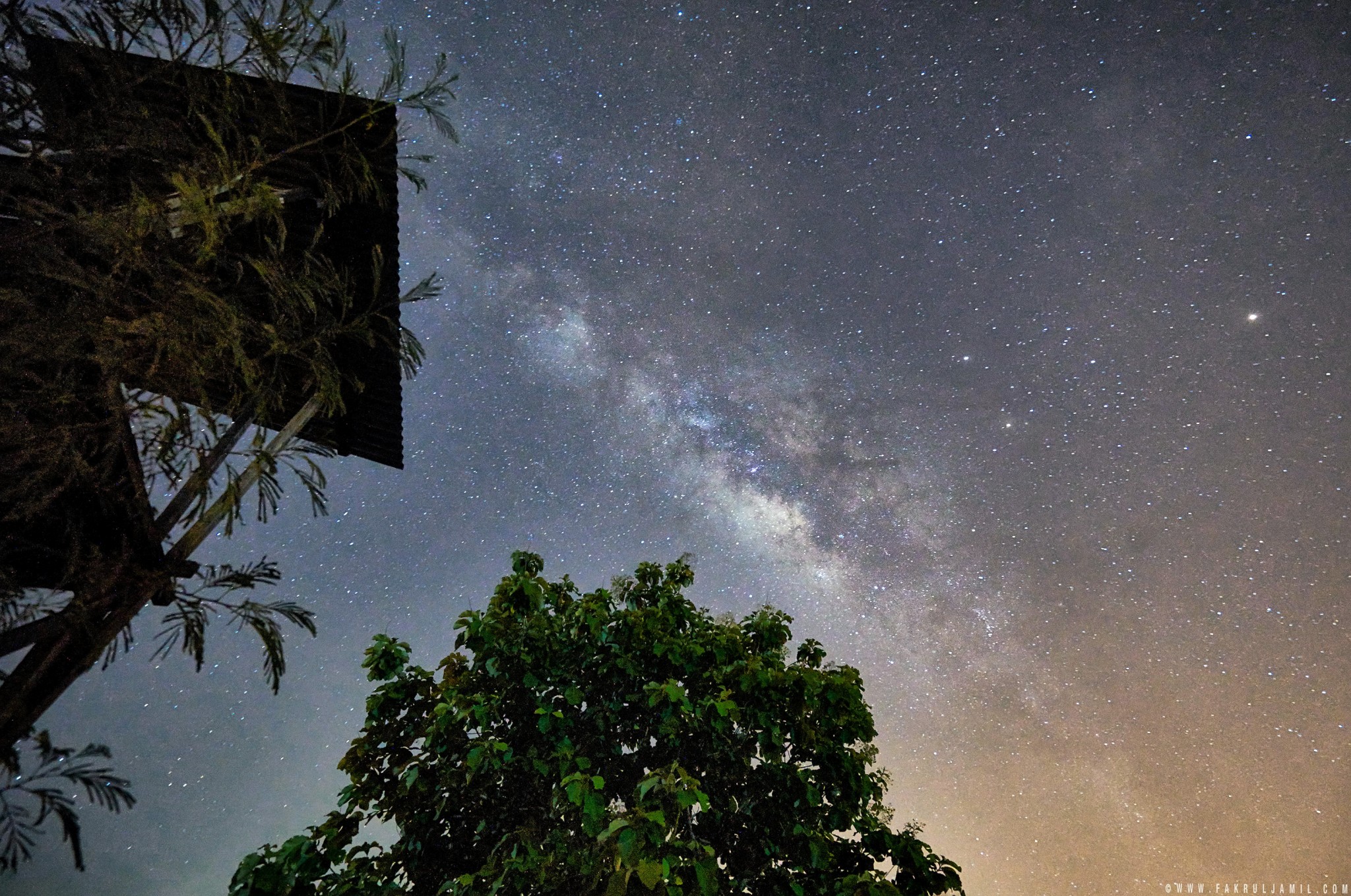 Milky Way above the Tree | Sony A7R Mark II + FE 16-35mm F4 ZA OSS
